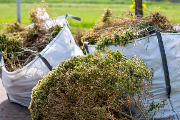 Best Yard Waste Removal  in Magalia, CA